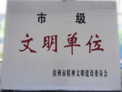 喜訊！公司榮獲“市級文明單位”稱號